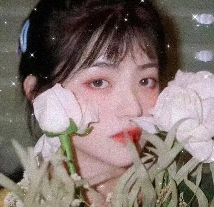 蝴蝶的舌头